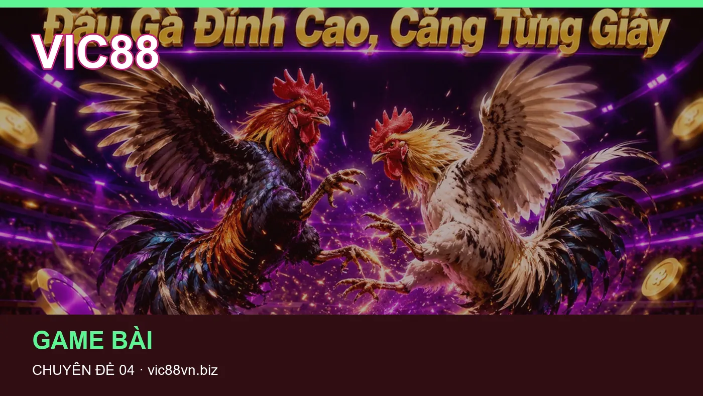 Cách bắt đầu đọc chuyên mục Đá gà trên VIC88